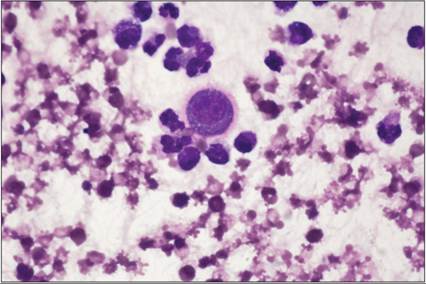 fig15.75.jpg