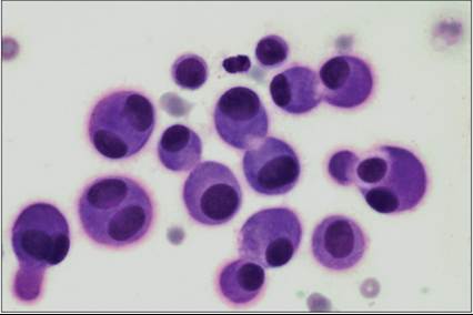fig15.78.jpg