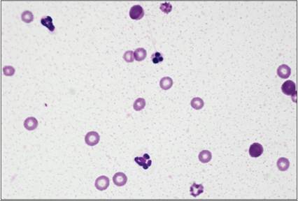 fig15.80.jpg