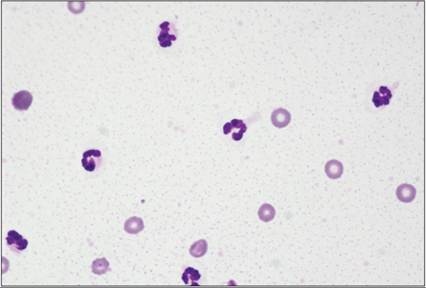 fig15.81.jpg