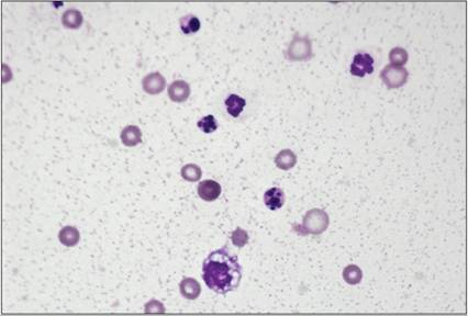 fig15.82.jpg