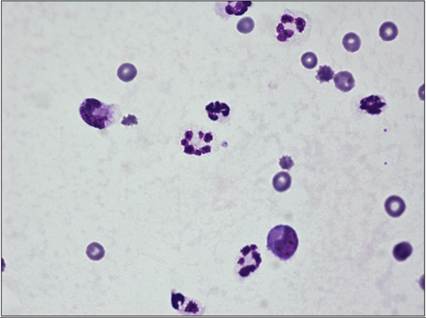 fig15.83.jpg