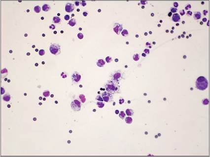 fig15.84.jpg