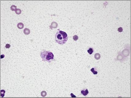 fig15.85.jpg