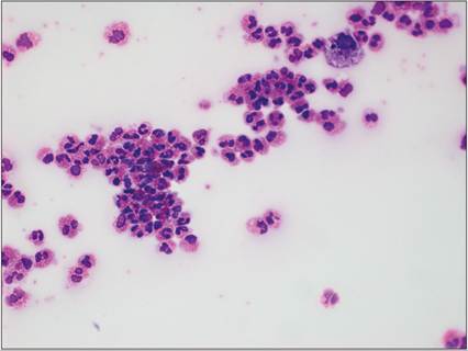 fig15.88.jpg