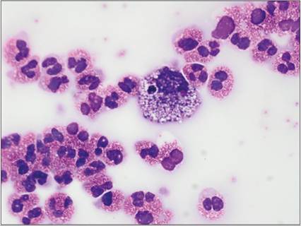 fig15.89.jpg