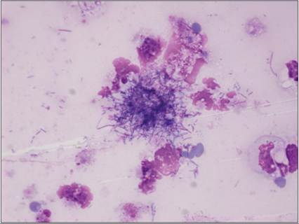fig15.90.jpg