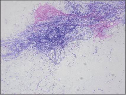 fig15.91.jpg
