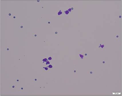 fig15.111.jpg