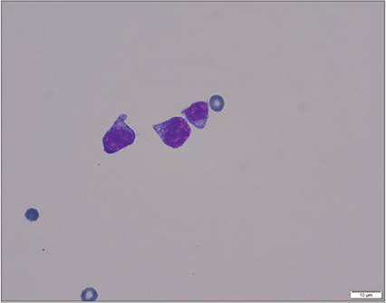 fig15.112.jpg
