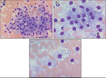 fig16.9A-C.jpg