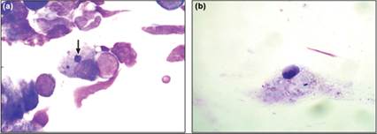fig17.12.jpg